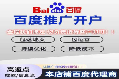 电商平台信息流广告的投放策略与效果评估案例